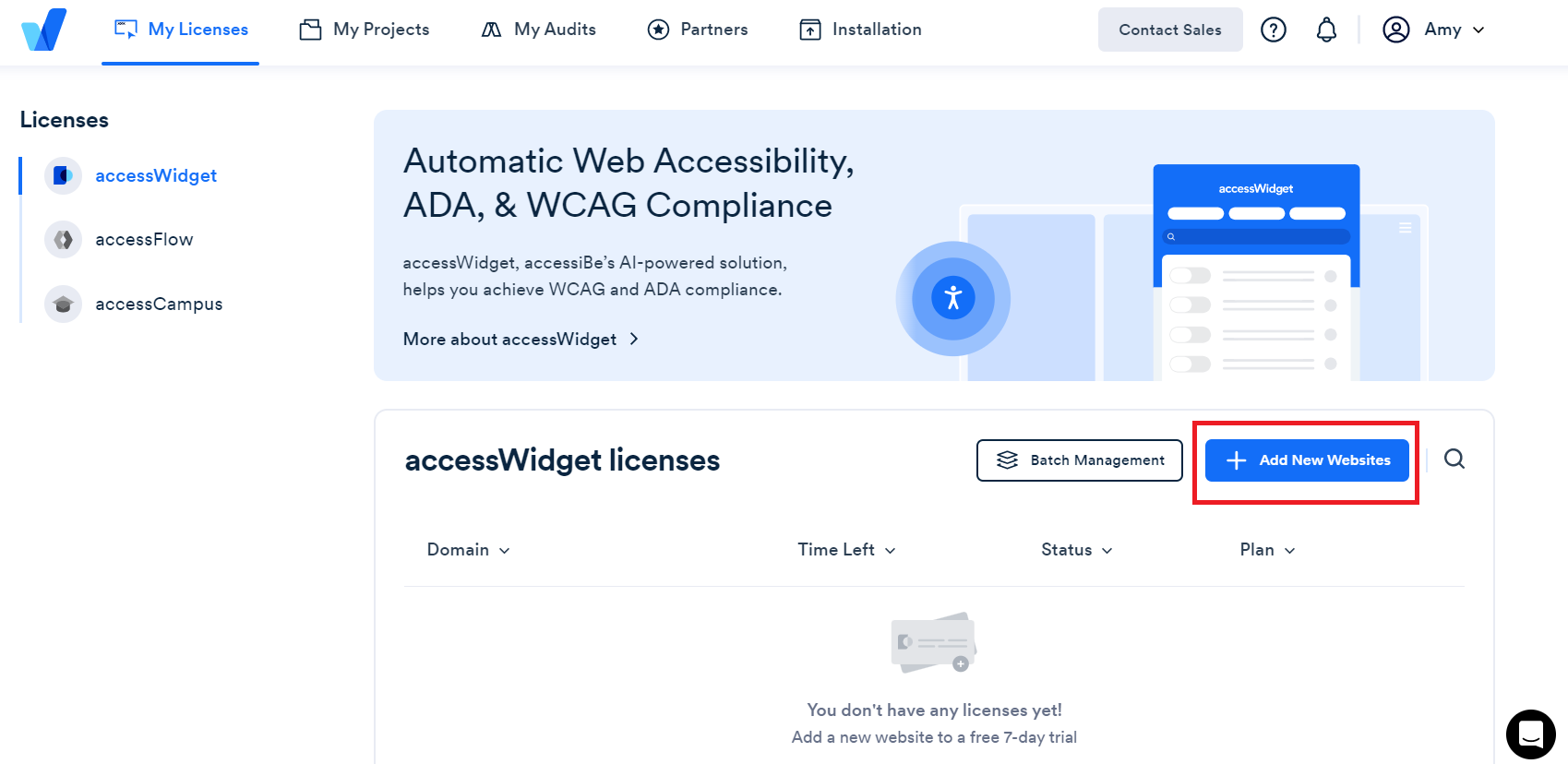 Screenshot of accessWidget licenses